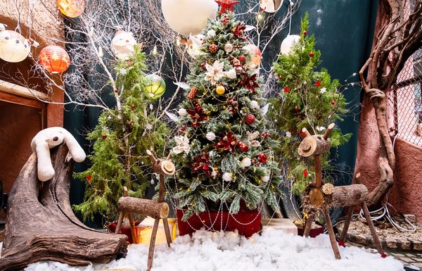 Idee incantevoli per decorare il tuo natale con retif